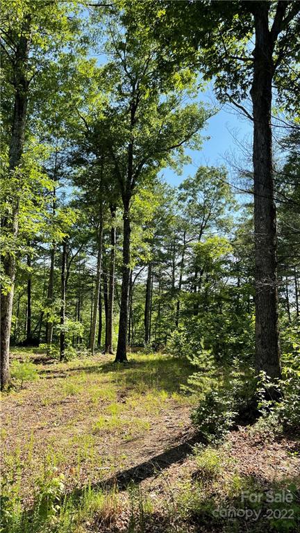 Lot 6 Fox Ridge Trail, Unit 6 Marion, NC 28752 - Photo 14 of 20 a view of a yard with plants and trees
