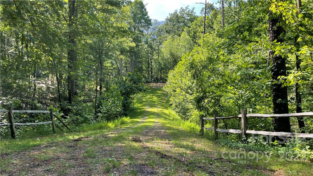 Lot 6 Fox Ridge Trail, Unit 6 Marion, NC 28752 - Photo 16 of 20 a view of a garden