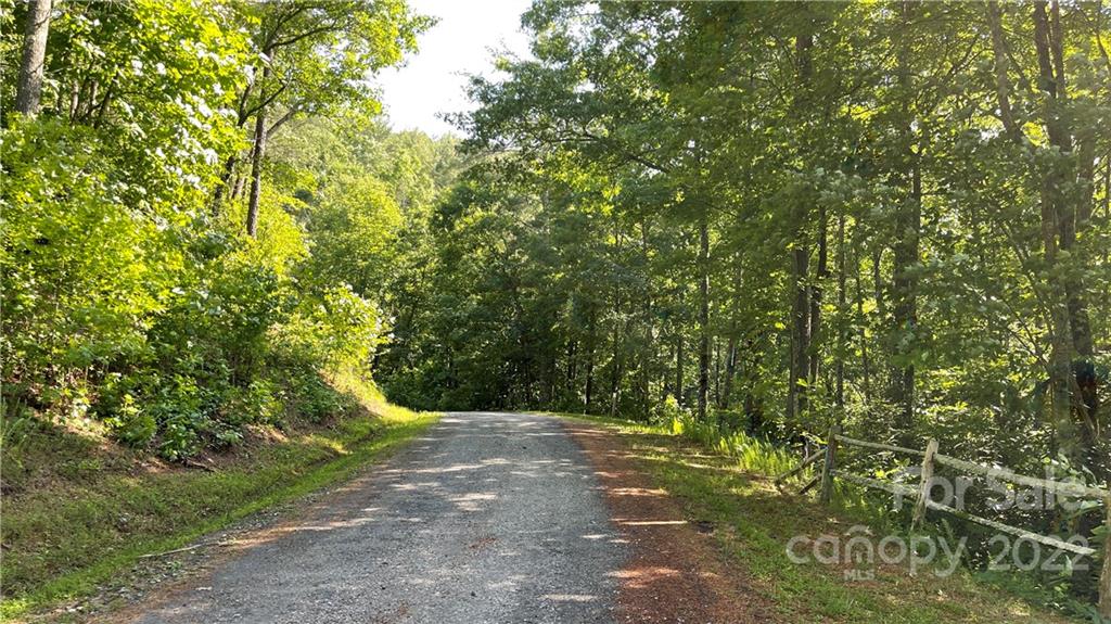 Lot 6 Fox Ridge Trail, Unit 6 Marion, NC 28752 - Photo 17 of 20 a view of a yard with plants and trees