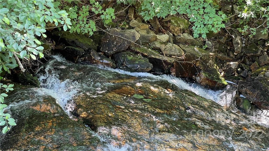 Lot 6 Fox Ridge Trail, Unit 6 Marion, NC 28752 - Photo 19 of 20 a view of a tree with lots of bushes