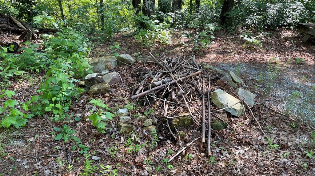 Lot 6 Fox Ridge Trail, Unit 6 Marion, NC 28752 - Photo 4 of 20 a view of a tree