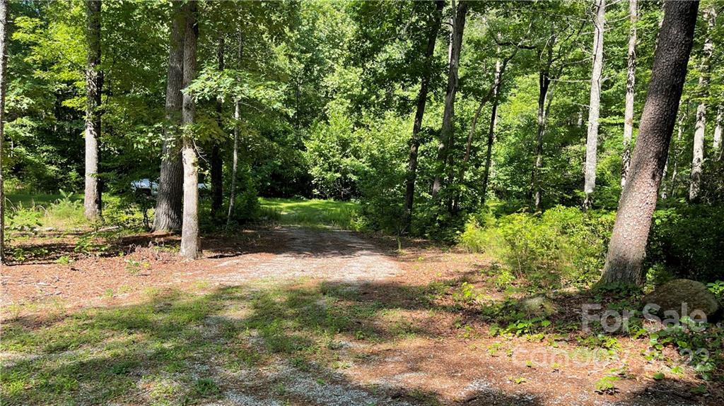 Lot 6 Fox Ridge Trail, Unit 6 Marion, NC 28752 - Photo 7 of 20 a view of backyard with green space