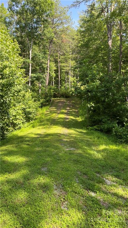 Lot 6 Fox Ridge Trail, Unit 6 Marion, NC 28752 - Photo 10 of 20 a view of a large yard with large trees
