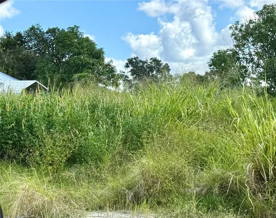 a view of a garden