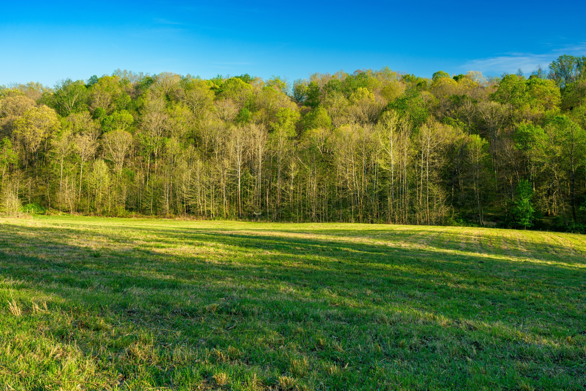 4231 Lylewood Road Indian Mound, TN 37079 - Photo 22 of 36 Gallery Image 22