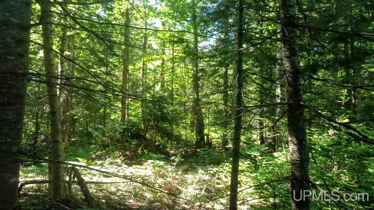 Tbd Lakeview Road Toivola, MI 49965 - Photo 37 of 43 Gallery Image 37