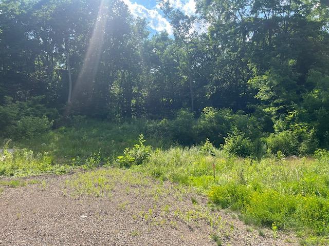 308 4th Street South Stillwater, MN 55082 - Photo 5 of 8