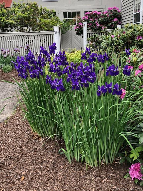 14 Quassuk Road, Unit 14 Woodbury, CT 06798 - Photo 18 of 23 a view of a flower in a garden