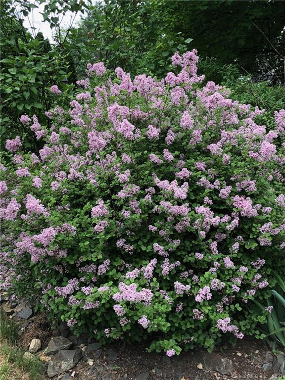 14 Quassuk Road, Unit 14 Woodbury, CT 06798 - Photo 19 of 23 a view of a and covered view