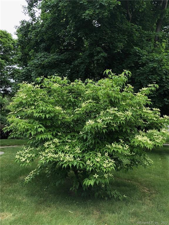 14 Quassuk Road, Unit 14 Woodbury, CT 06798 - Photo 21 of 23 a view of a garden