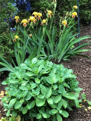 $2,400 | 14 Quassuk Road, Unit 14, Woodbury, CT 06798