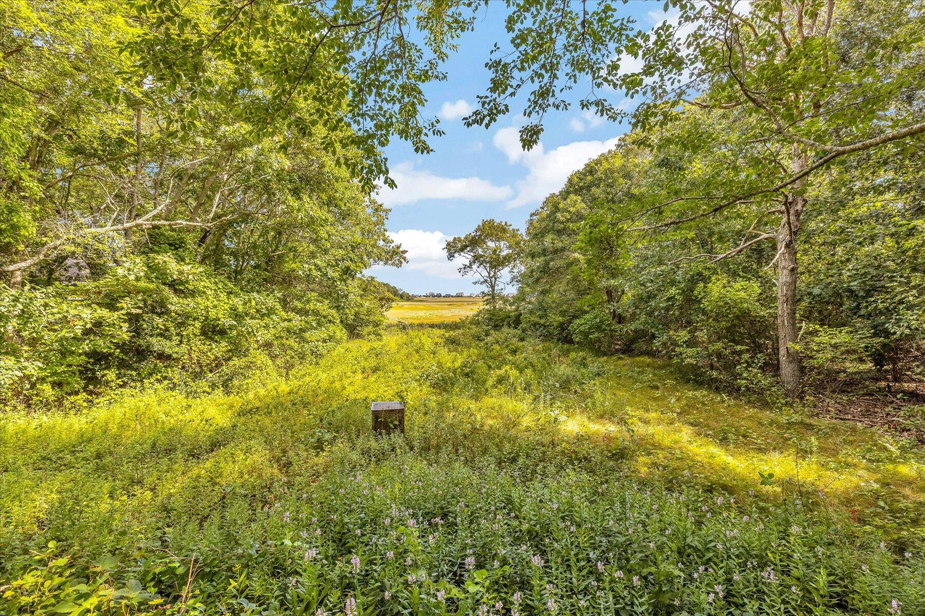 21 Great Island Road East Sandwich, MA 02537 - Photo 14 of 45 08-Y1A5190