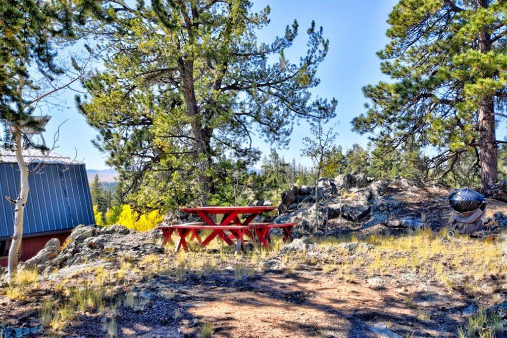 1200 Signal Ridge Road Como, CO 80456 - Photo 15 of 16 Gallery Image 15