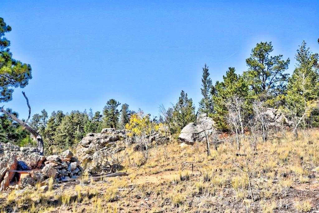 1200 Signal Ridge Road Como, CO 80456 - Photo 16 of 16 Gallery Image 16