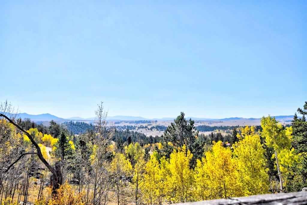 1200 Signal Ridge Road Como, CO 80456 - Photo 6 of 16 Gallery Image 6