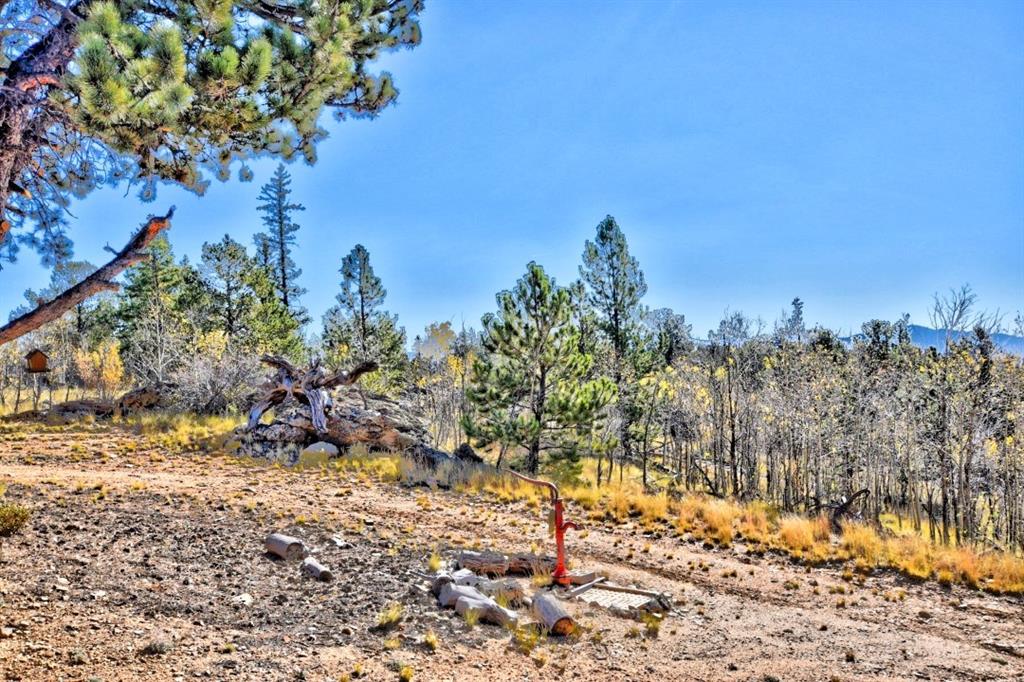 1200 Signal Ridge Road Como, CO 80456 - Photo 7 of 16 Gallery Image 7