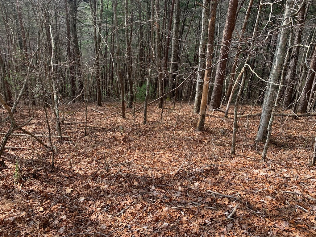 Lot 20 Wolf Ridge Lane Murphy, NC 28906 - Photo 3 of 27