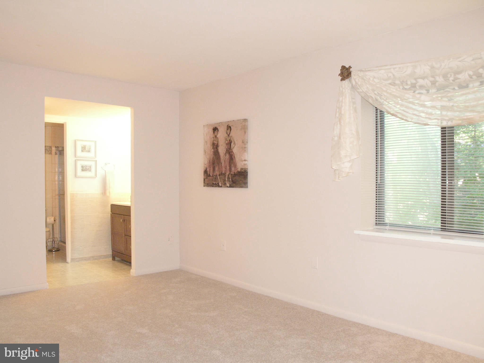 2210 Springwood Drive, Unit 208 Reston, VA 20191 - Photo 23 of 30 Bedroom (Master)