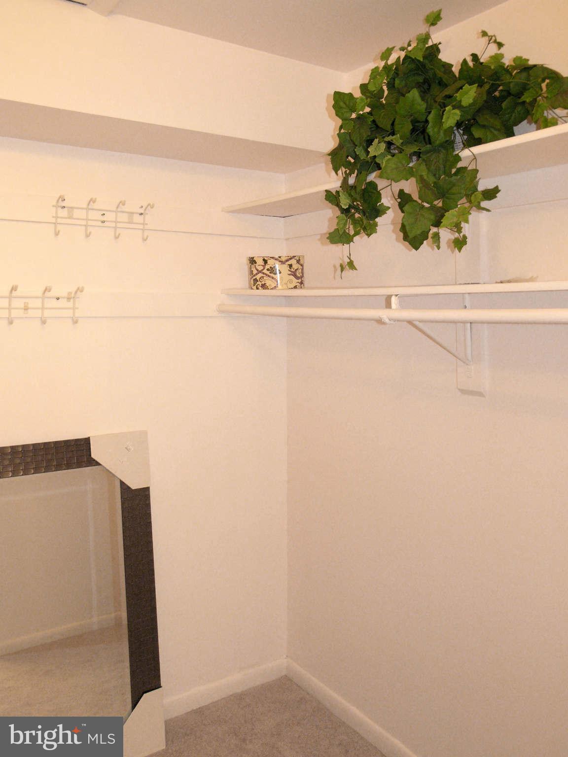 2210 Springwood Drive, Unit 208 Reston, VA 20191 - Photo 26 of 30 Bedroom (Master) Walk-In Closet