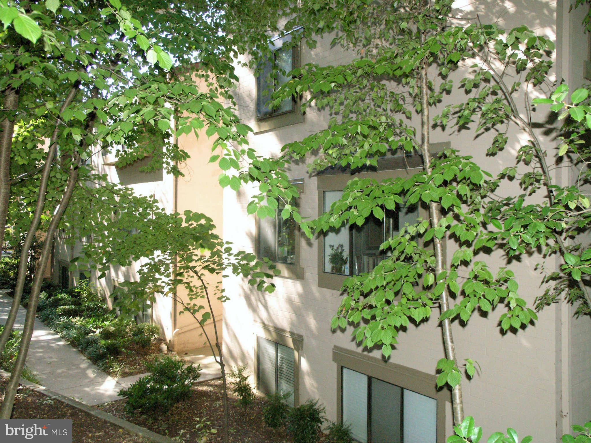 2210 Springwood Drive, Unit 208 Reston, VA 20191 - Photo 27 of 30 Building Exterior (Front)