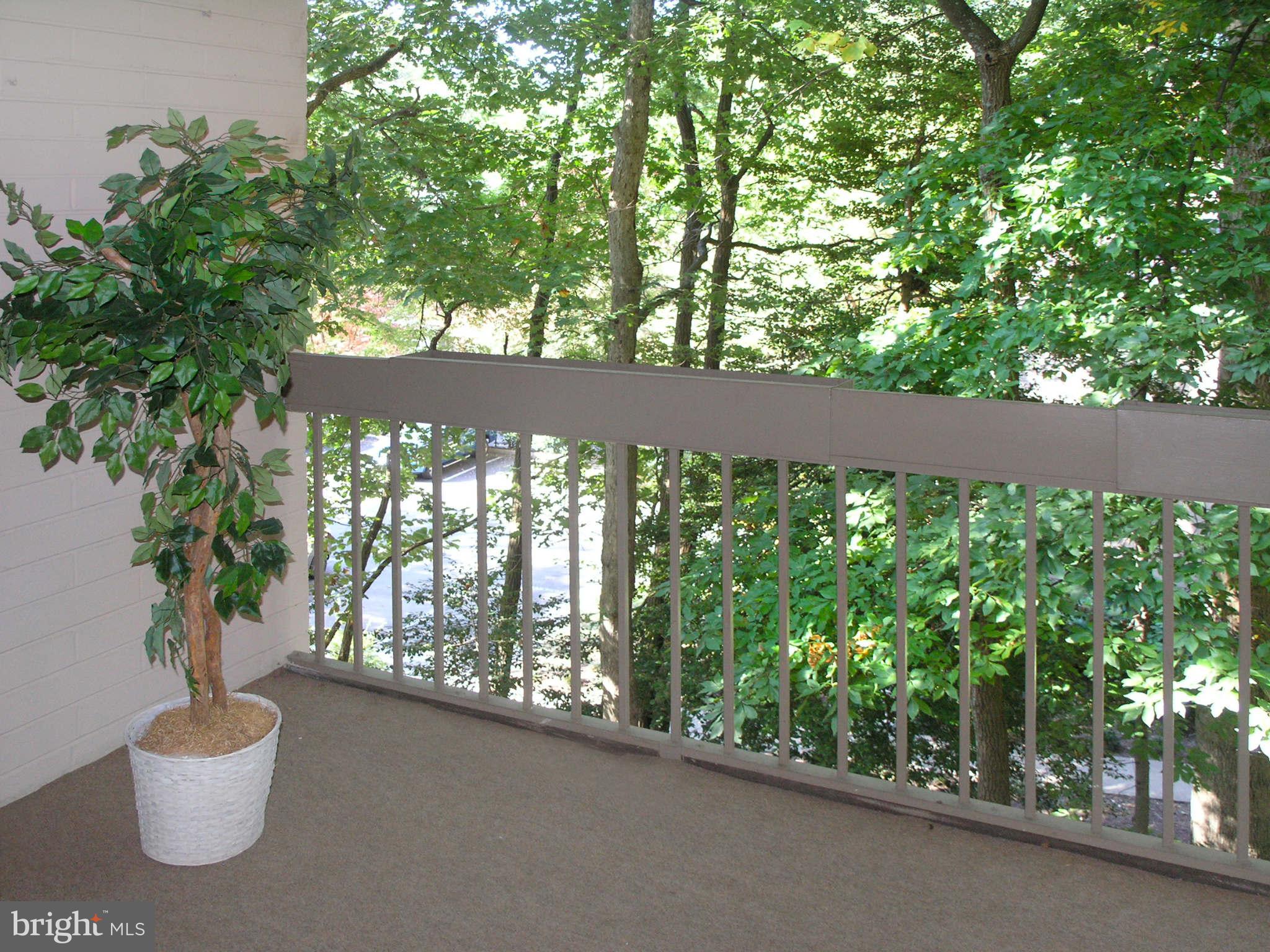 2210 Springwood Drive, Unit 208 Reston, VA 20191 - Photo 8 of 30 Balcony in the trees