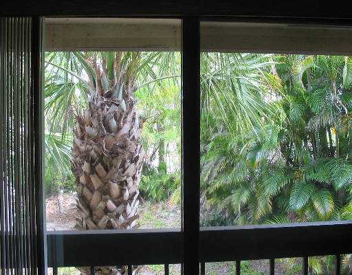 400 Club Circle, Unit 206 Boca Raton, FL 33487 - Photo 6 of 9 Additional Photo