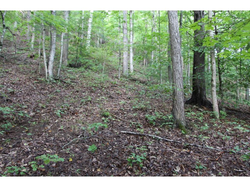 395 Barnette Road Bluff City, TN 37618 - Photo 8 of 11 Photo 8