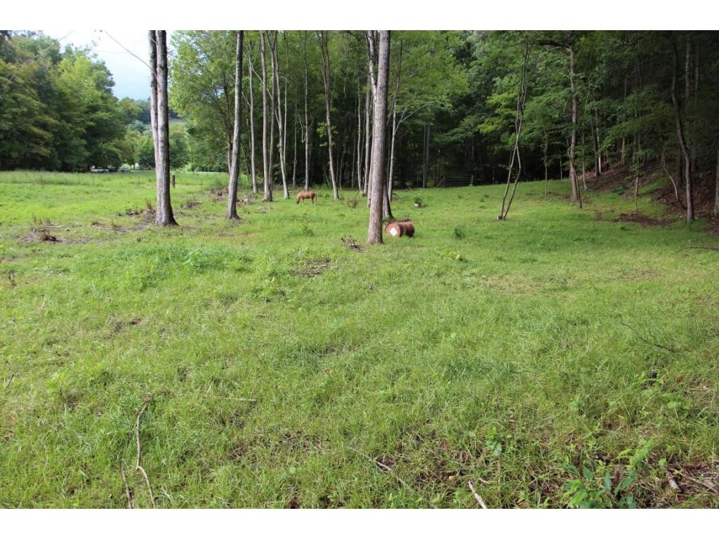 395 Barnette Road Bluff City, TN 37618 - Photo 10 of 11 Photo 10