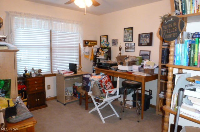227 Clingan Road Struthers, OH 44471 - Photo 24 of 27 Gallery Image 24