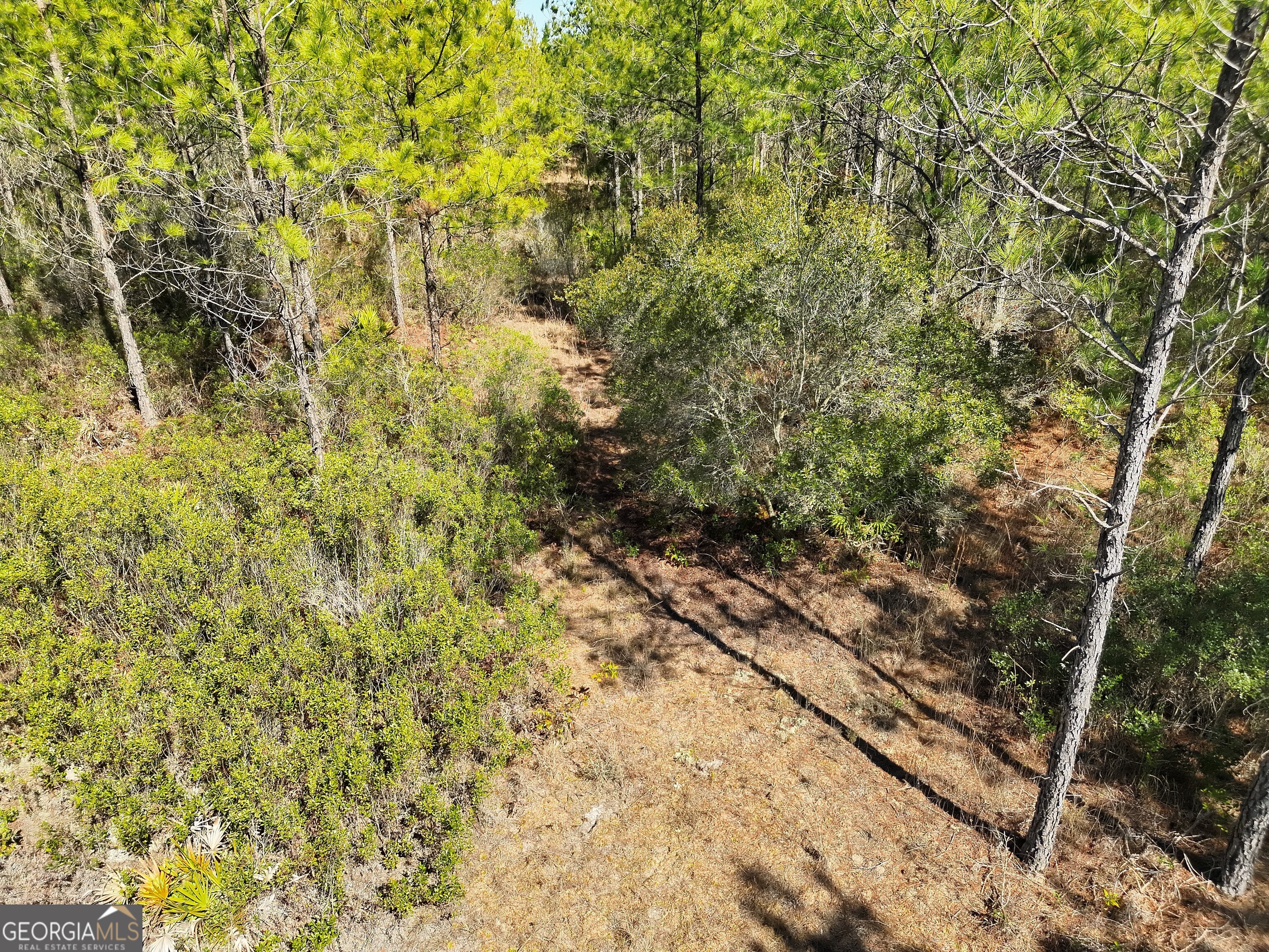 21 A Gun Metal Rd Manor Millwood, GA 31552 - Photo 11 of 16