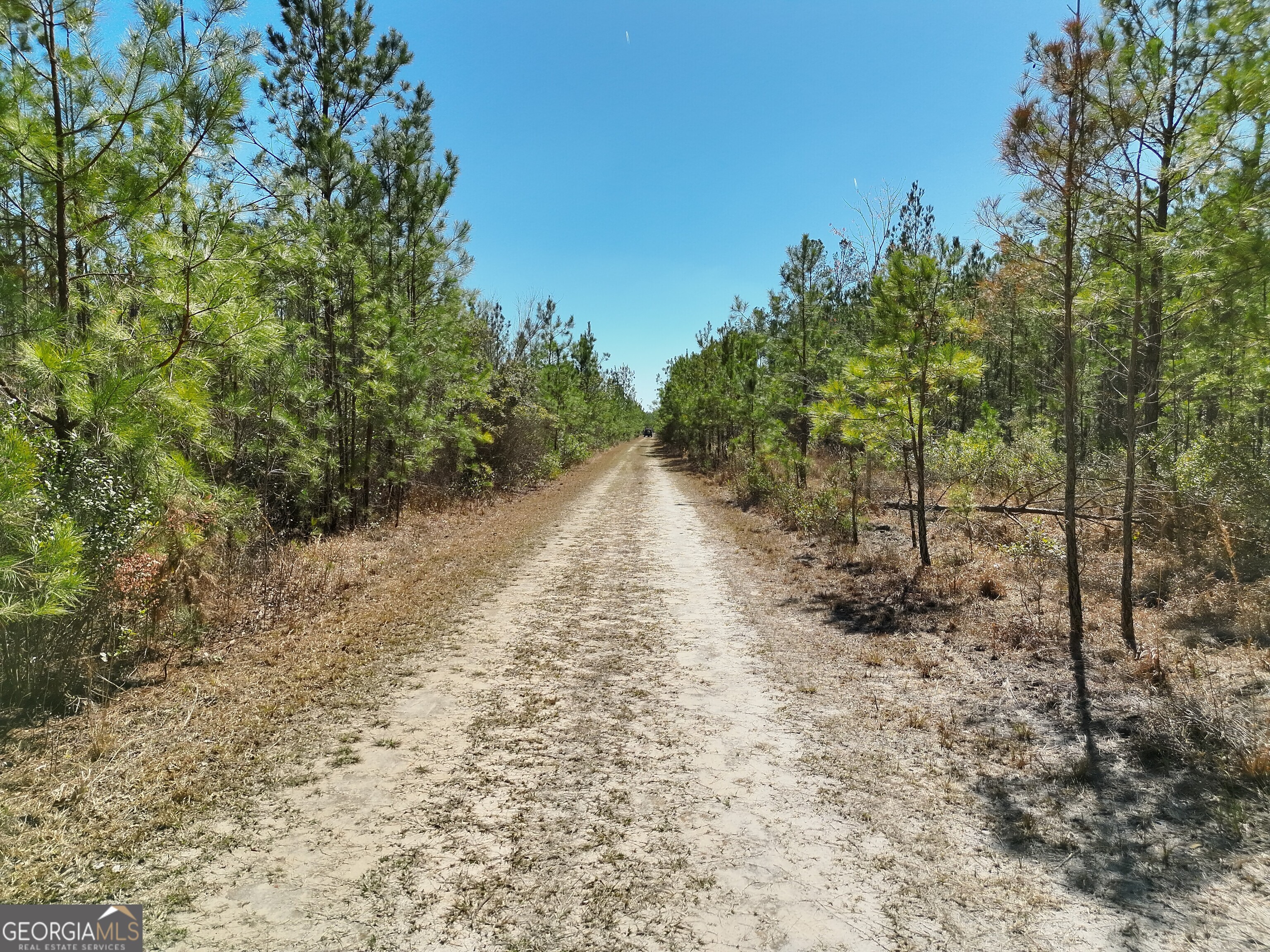 21 A Gun Metal Rd Manor Millwood, GA 31552 - Photo 12 of 16