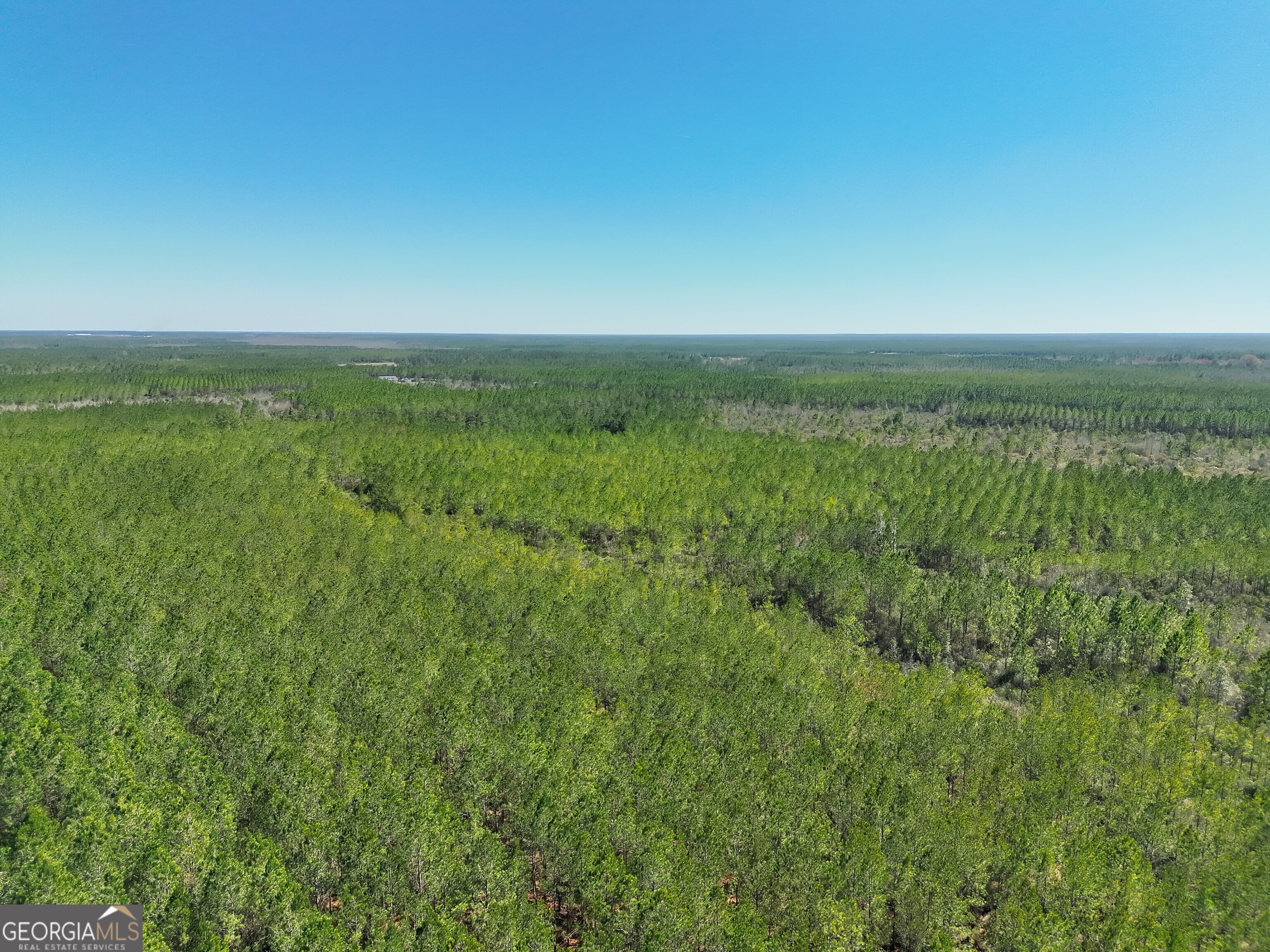 21 A Gun Metal Rd Manor Millwood, GA 31552 - Photo 14 of 16