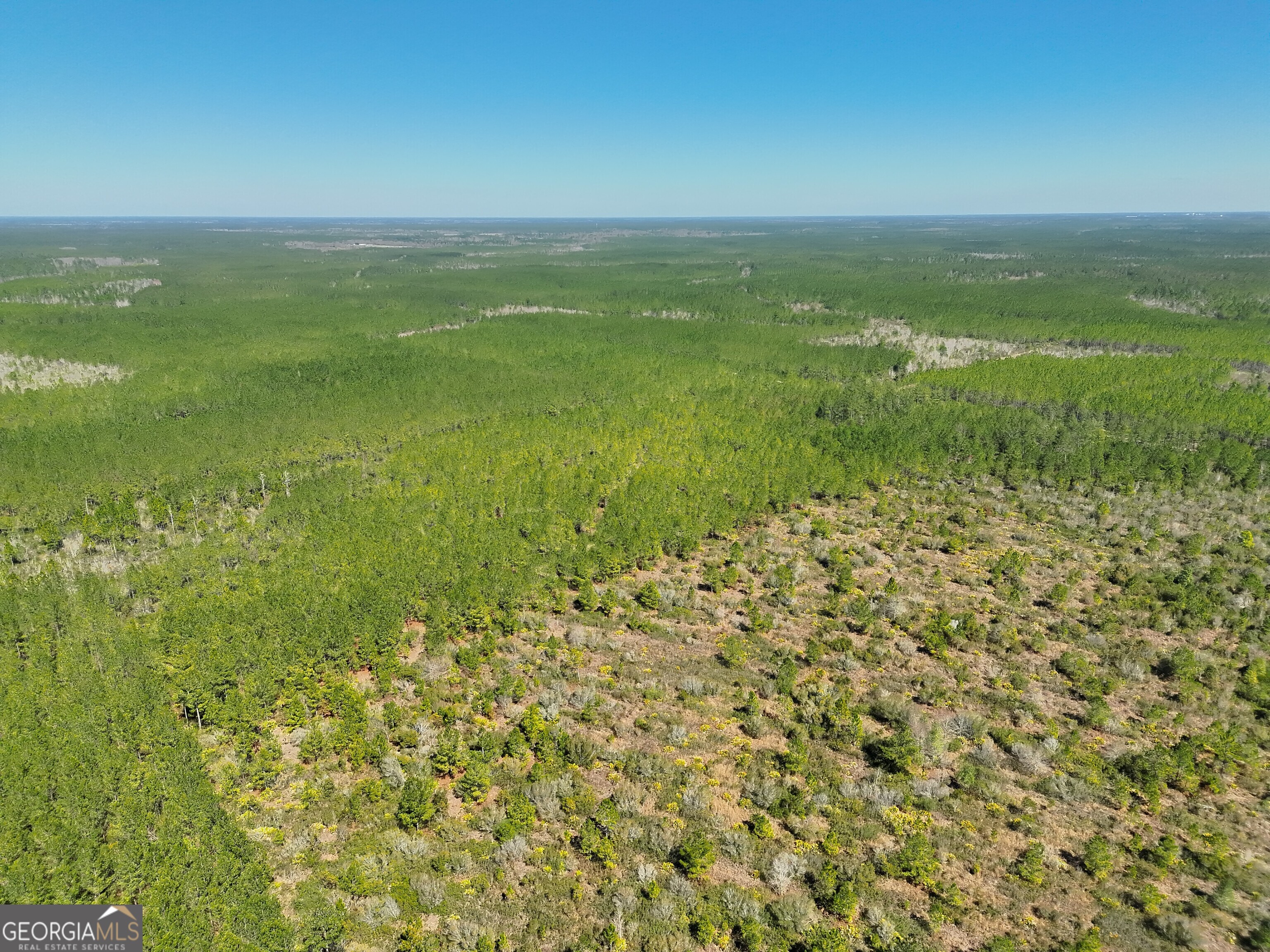 21 A Gun Metal Rd Manor Millwood, GA 31552 - Photo 15 of 16