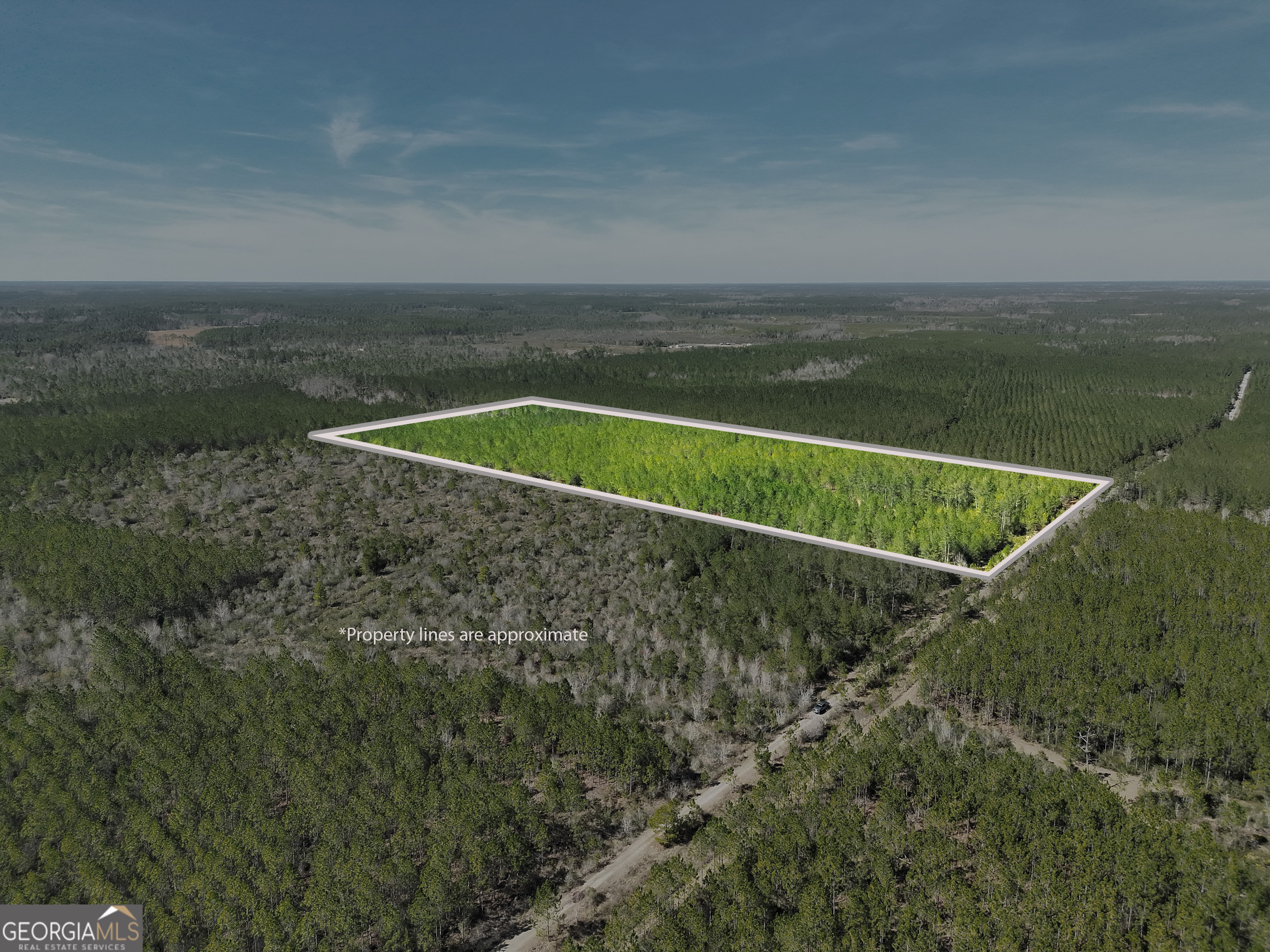 21 A Gun Metal Rd Manor Millwood, GA 31552 - Photo 4 of 16