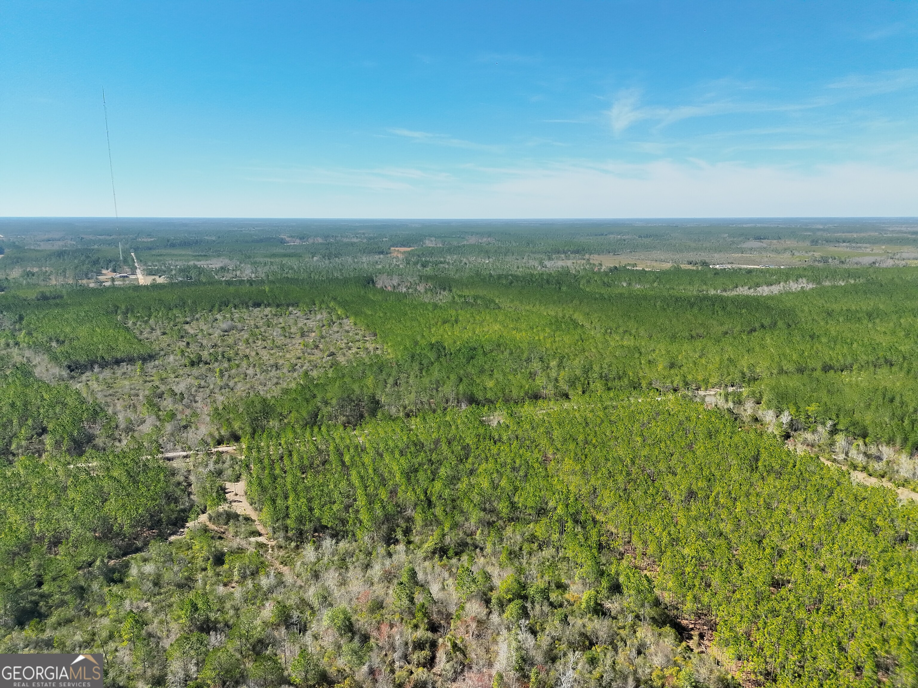 21 A Gun Metal Rd Manor Millwood, GA 31552 - Photo 5 of 16