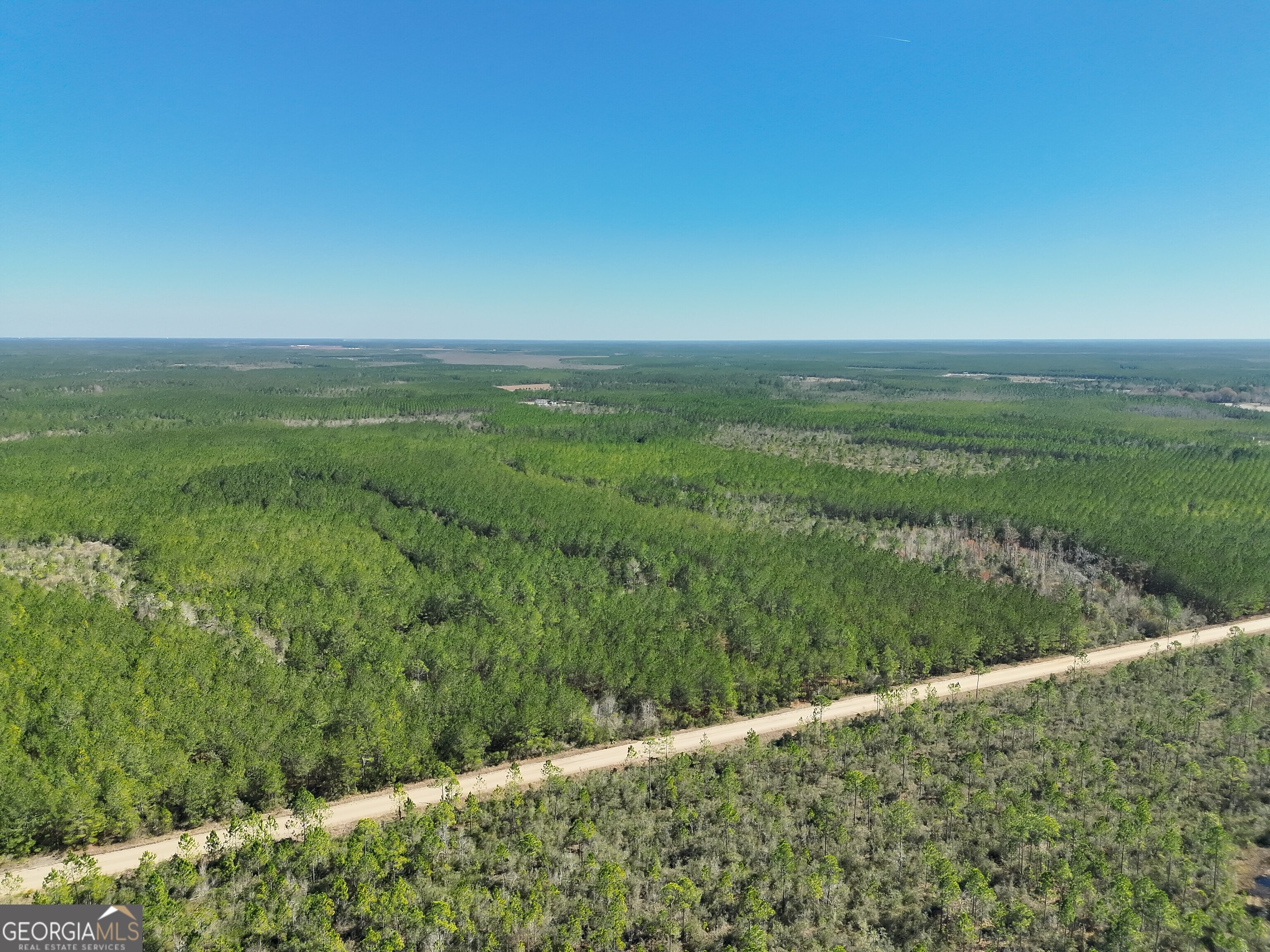 21 A Gun Metal Rd Manor Millwood, GA 31552 - Photo 6 of 16