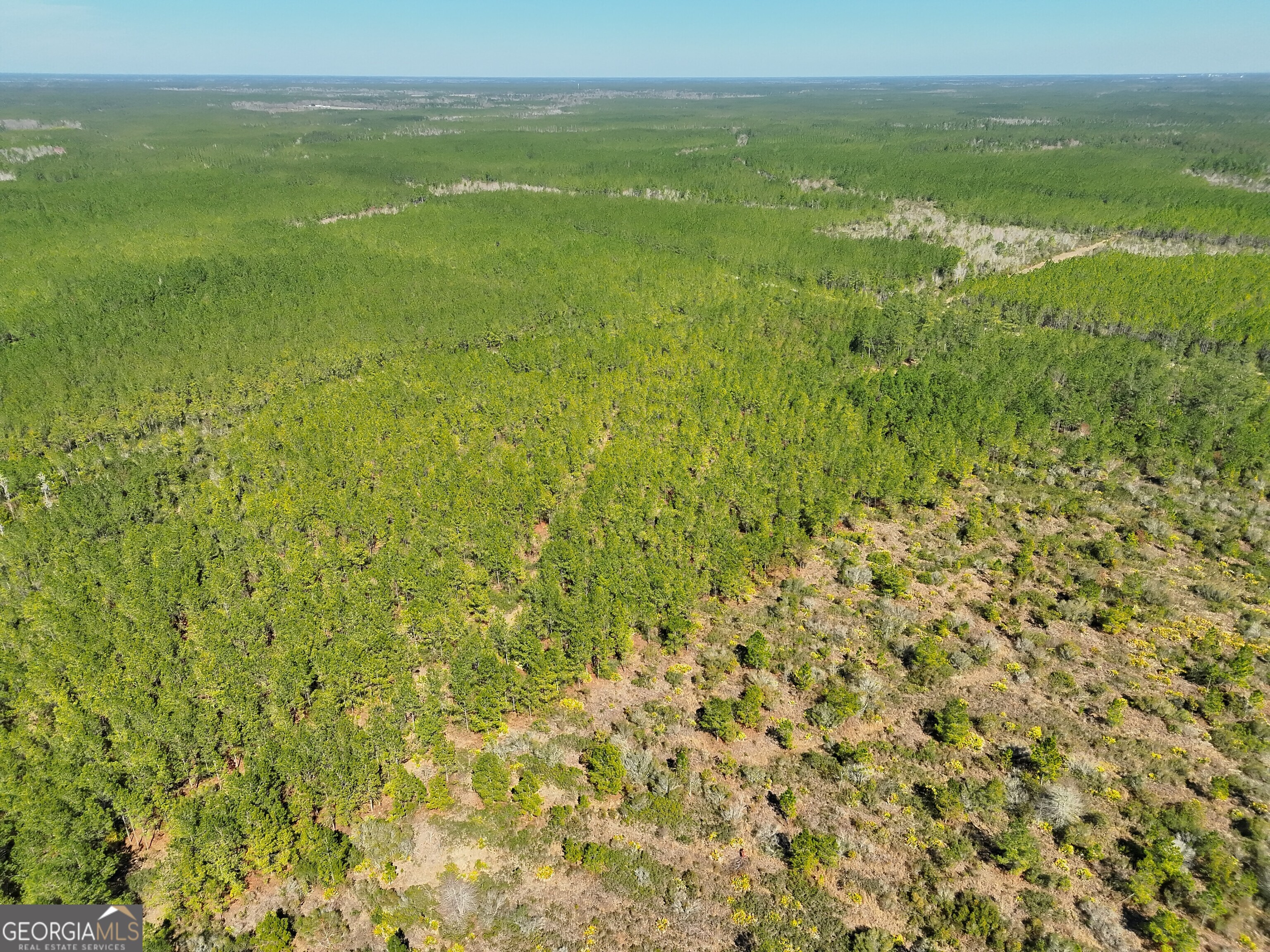 21 A Gun Metal Rd Manor Millwood, GA 31552 - Photo 7 of 16