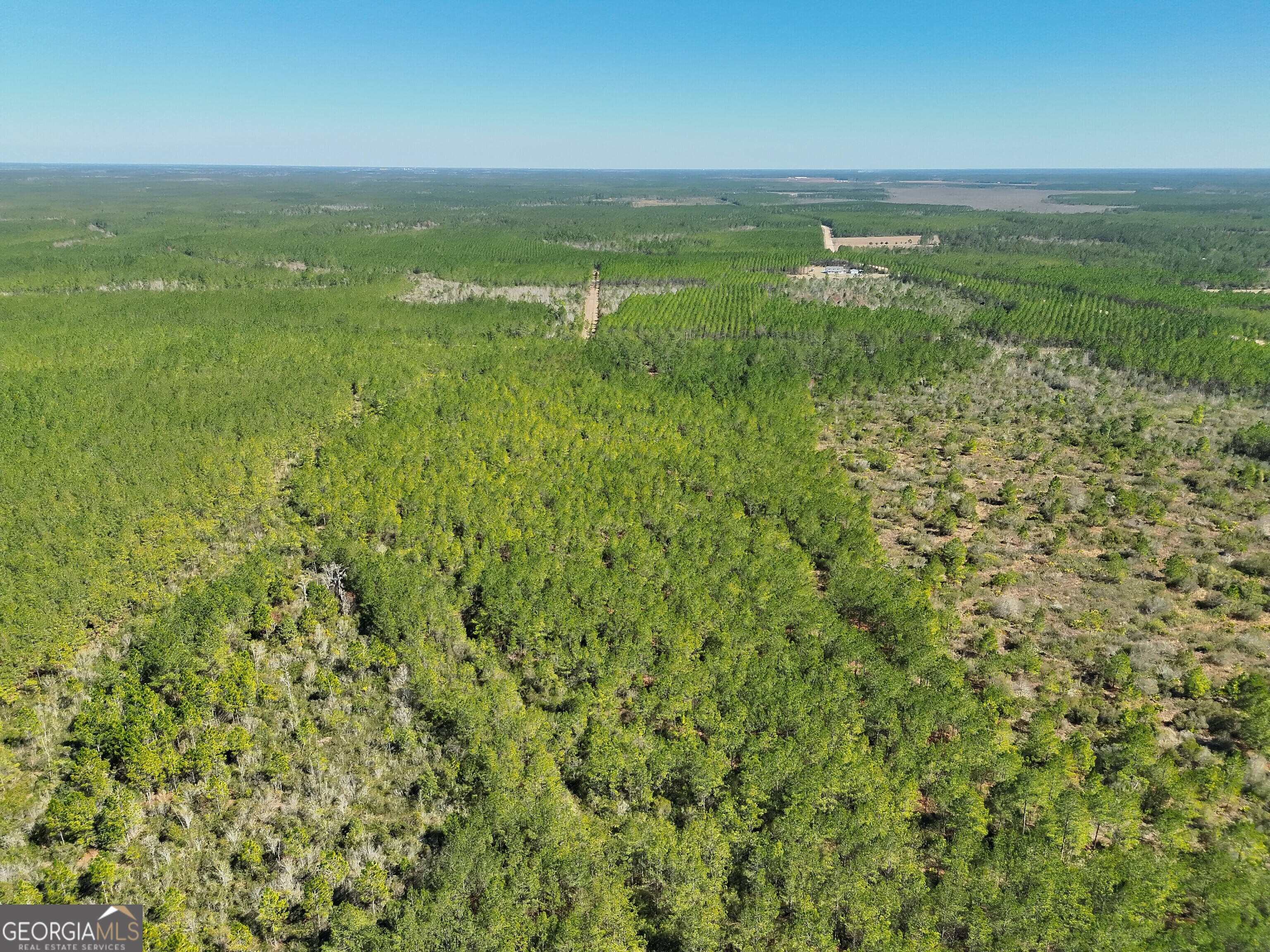 21 A Gun Metal Rd Manor Millwood, GA 31552 - Photo 8 of 16