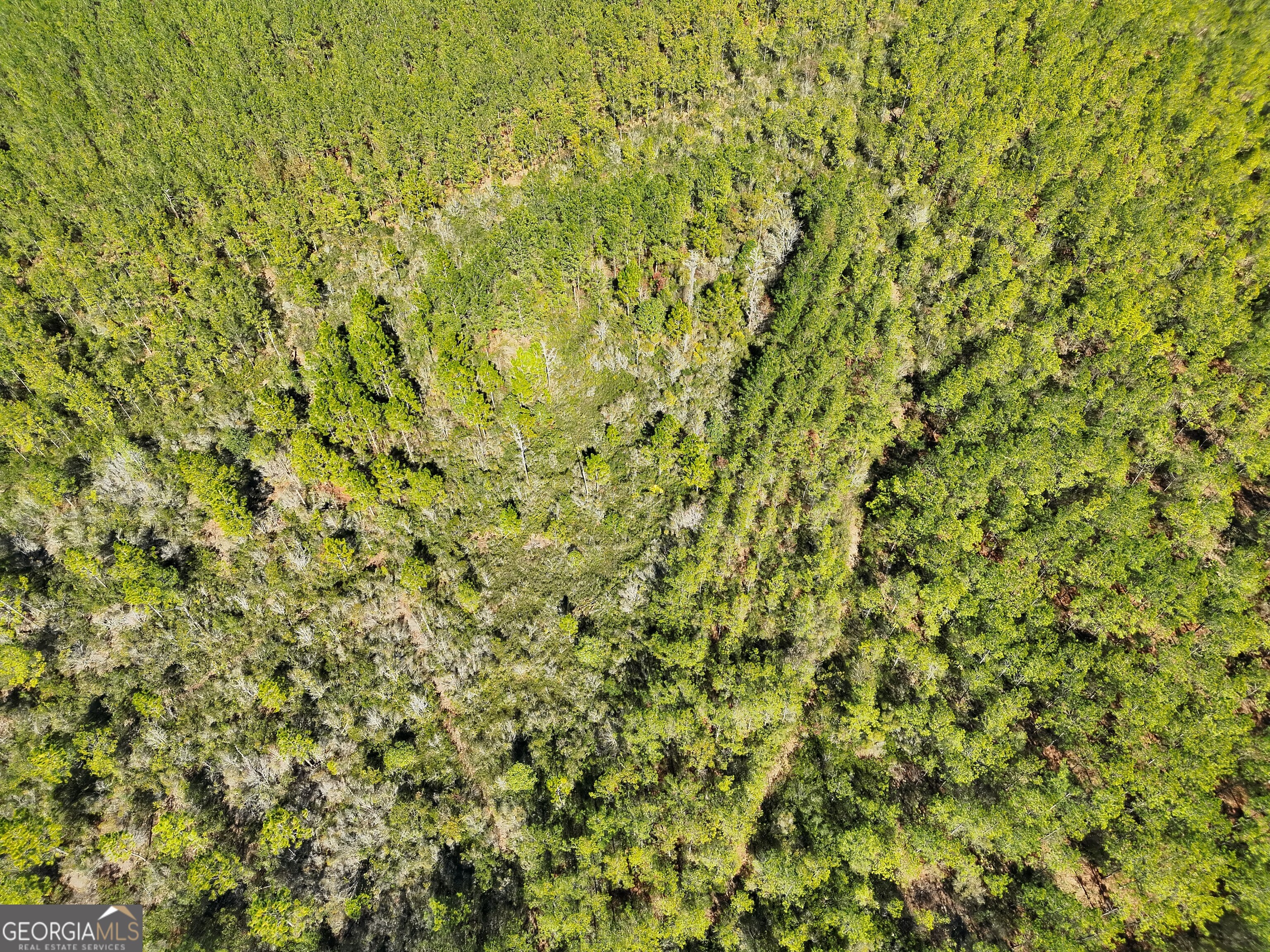 21 A Gun Metal Rd Manor Millwood, GA 31552 - Photo 9 of 16