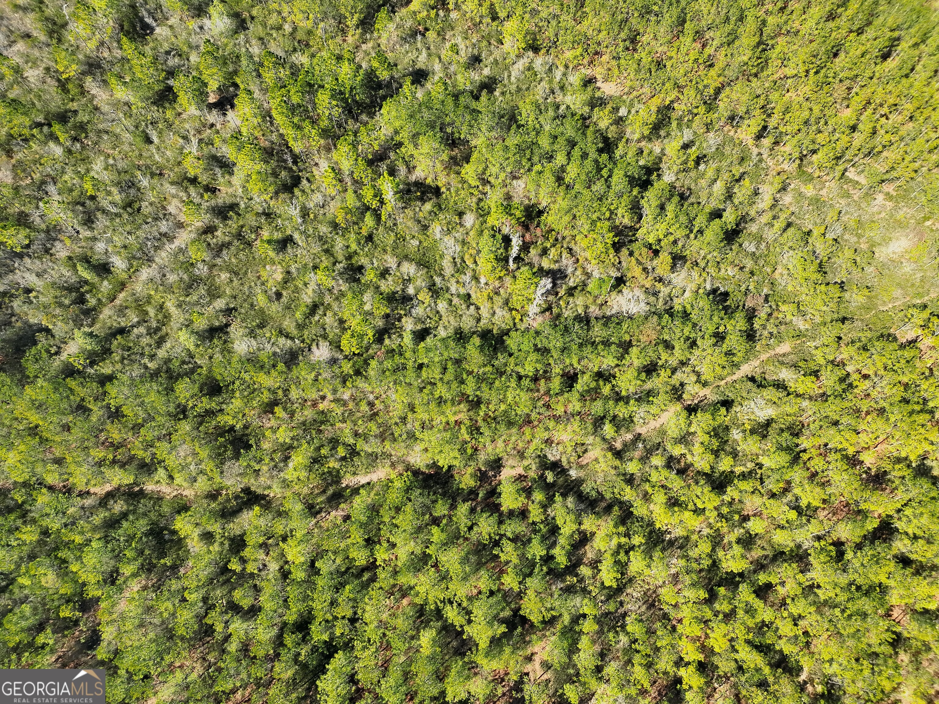 21 A Gun Metal Rd Manor Millwood, GA 31552 - Photo 10 of 16