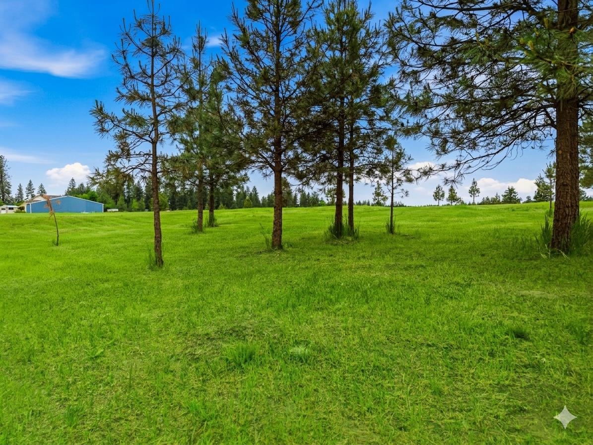 Nka North Prairie Crest Road Spokane, WA 99224 - Photo 5 of 16