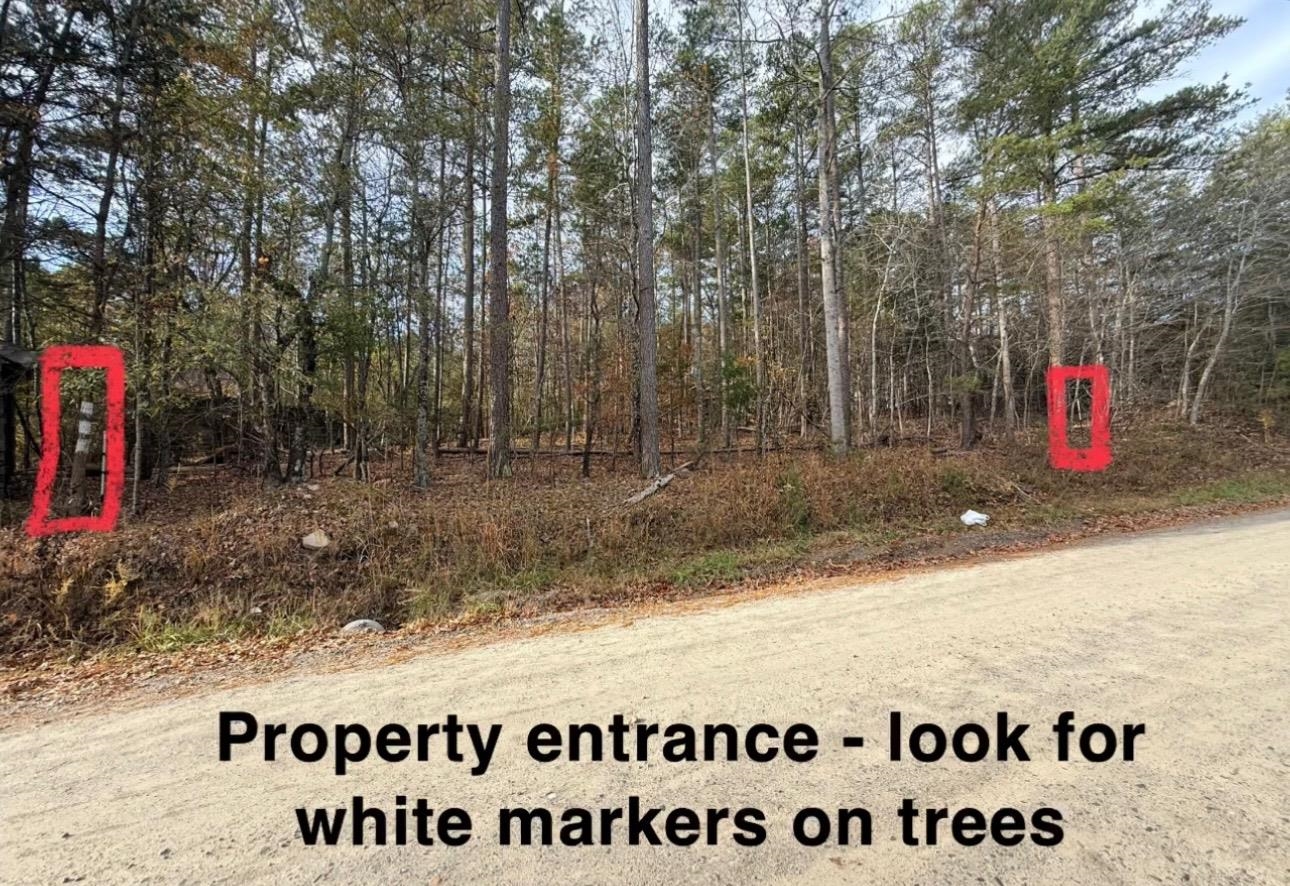 0 Old Seine Road Smyrna, SC 29743 - Photo 11 of 12