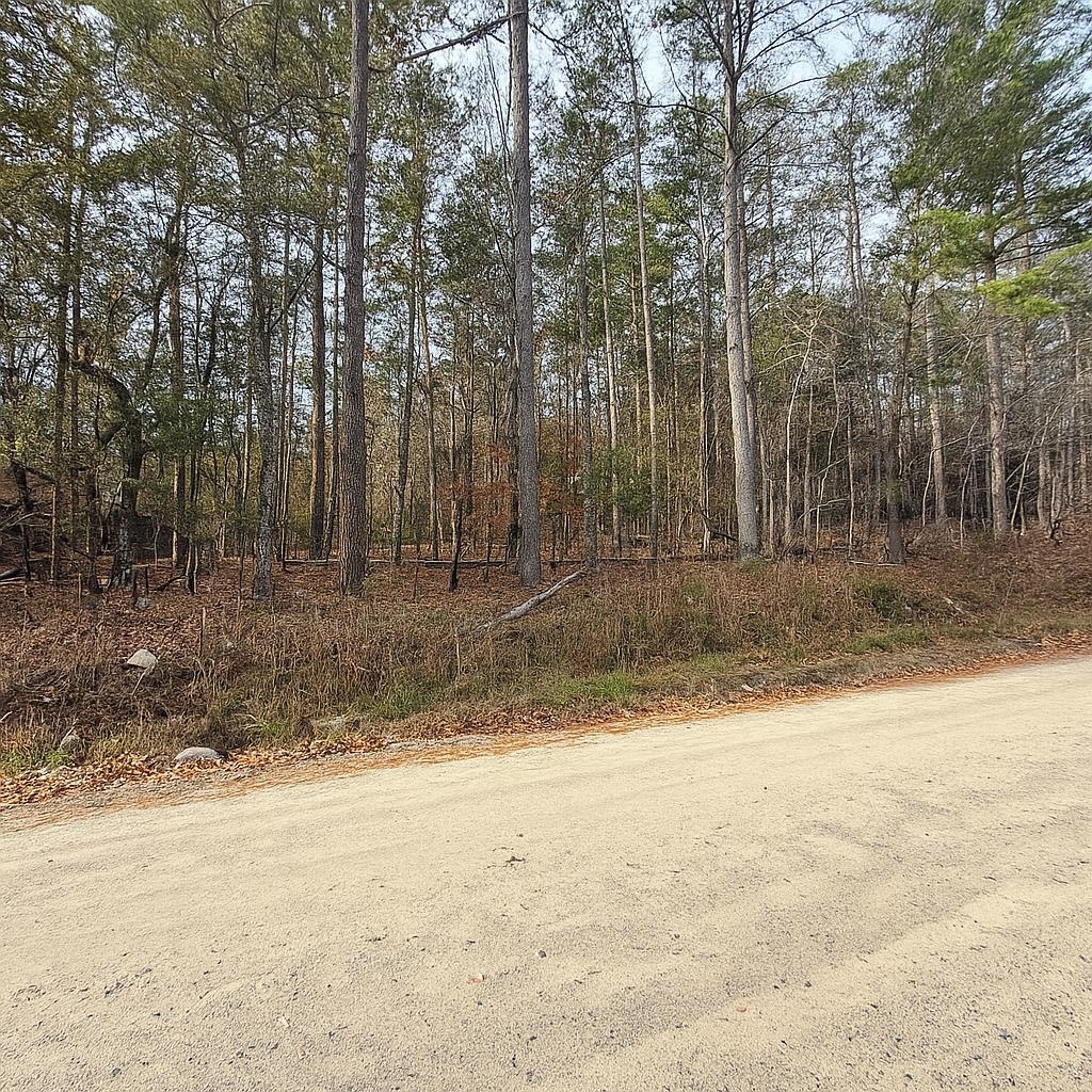 0 Old Seine Road Smyrna, SC 29743 - Photo 4 of 12