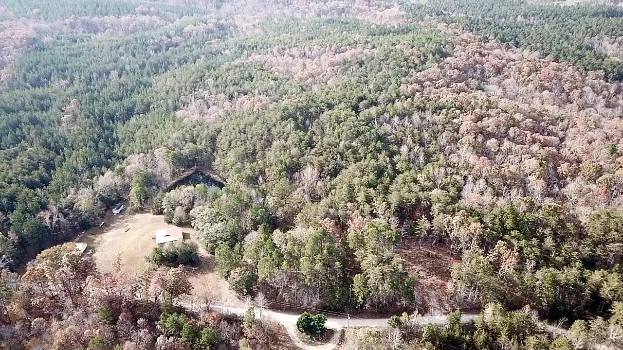 0 Old Seine Road Smyrna, SC 29743 - Photo 5 of 12