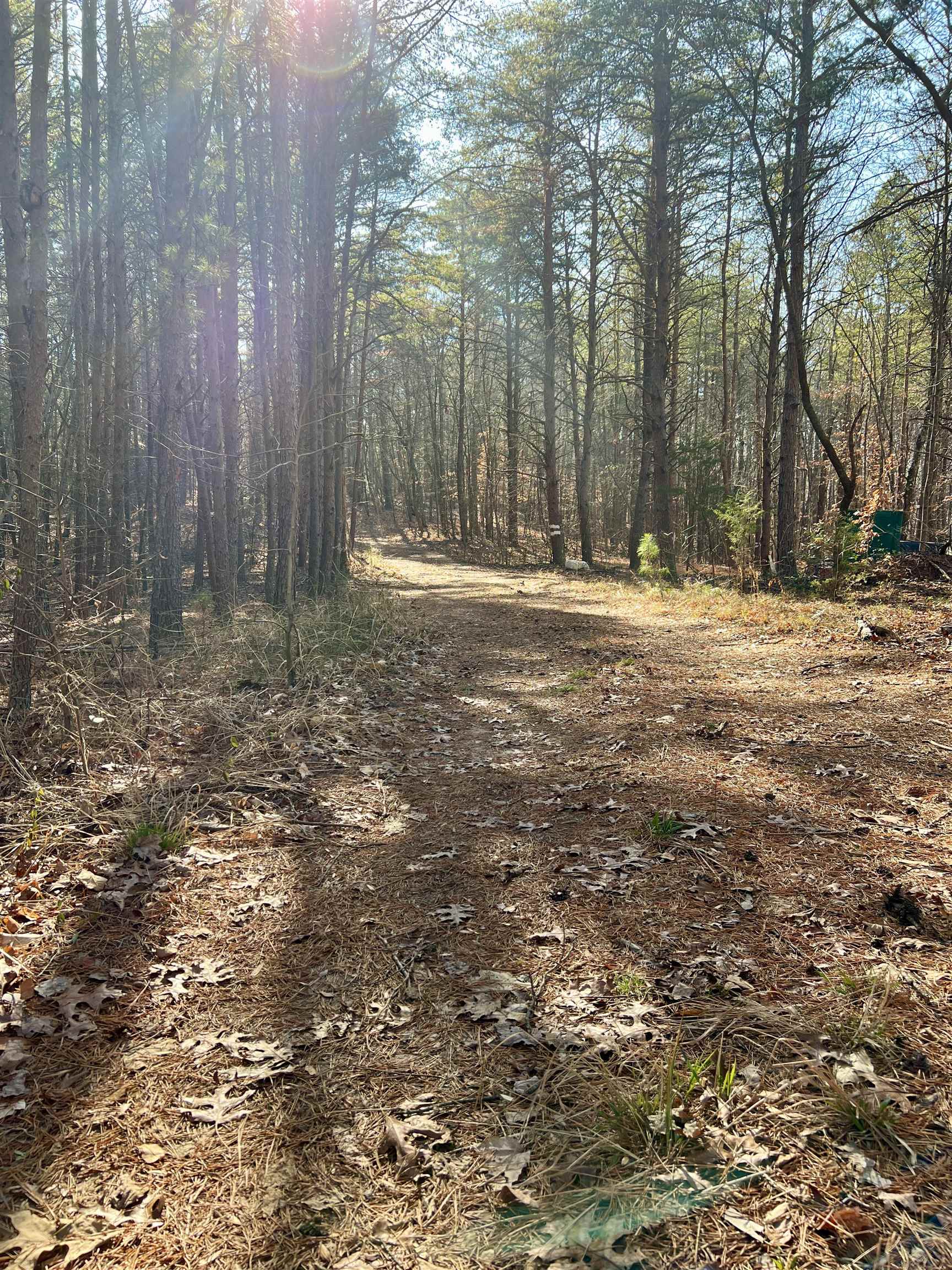 0 Old Seine Road Smyrna, SC 29743 - Photo 7 of 12