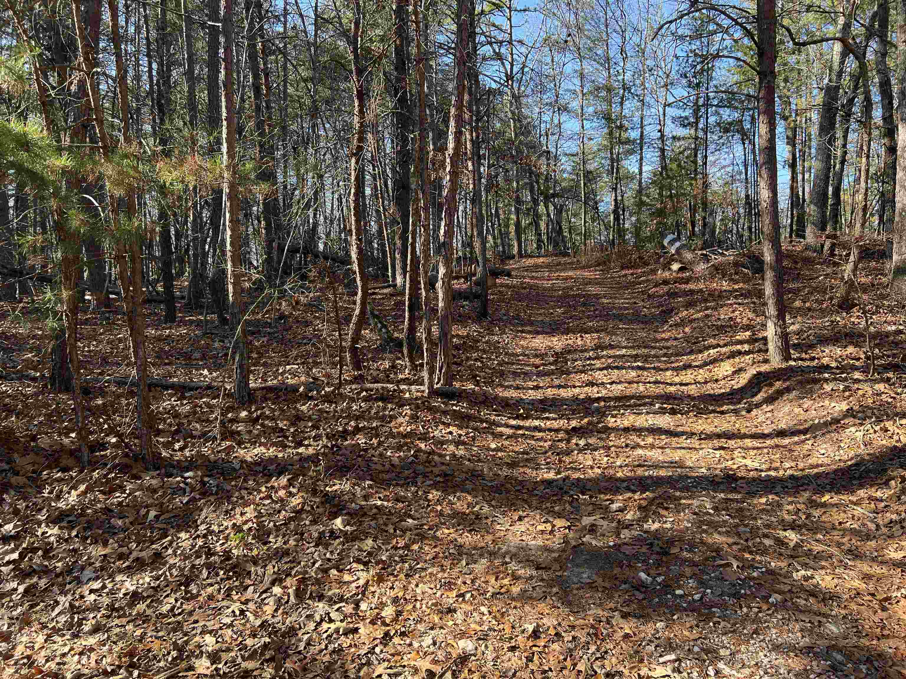 0 Old Seine Road Smyrna, SC 29743 - Photo 8 of 12