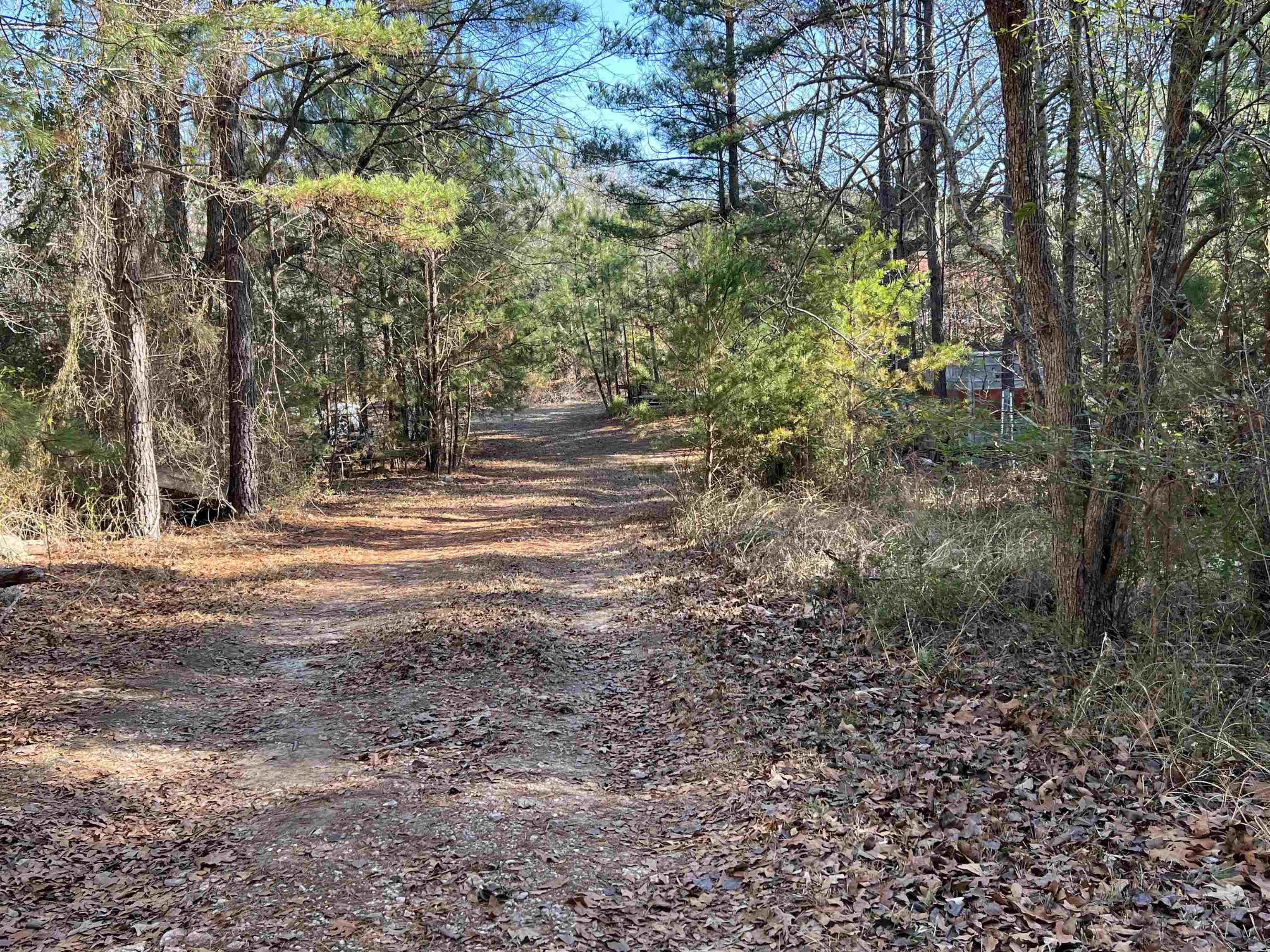 0 Old Seine Road Smyrna, SC 29743 - Photo 9 of 12