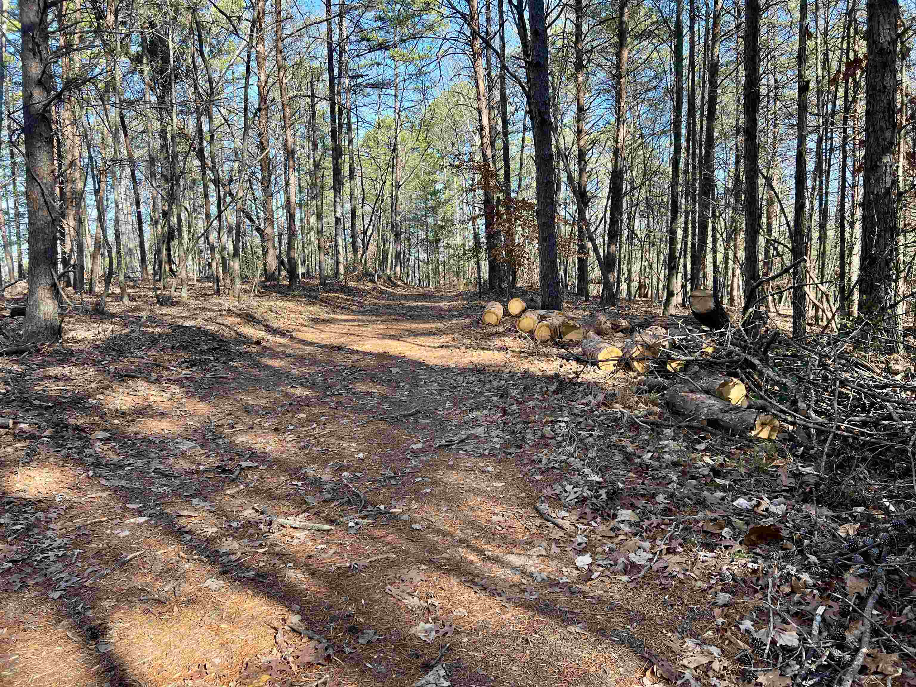 0 Old Seine Road Smyrna, SC 29743 - Photo 10 of 12