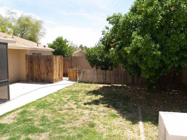4350 East Redfield Road Phoenix, AZ 85032 - Photo 5 of 15 5