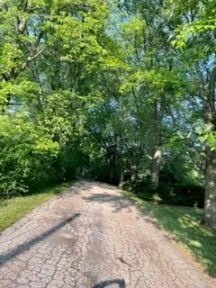 a view of outdoor space and yard